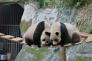 雷竞技是干嘛的